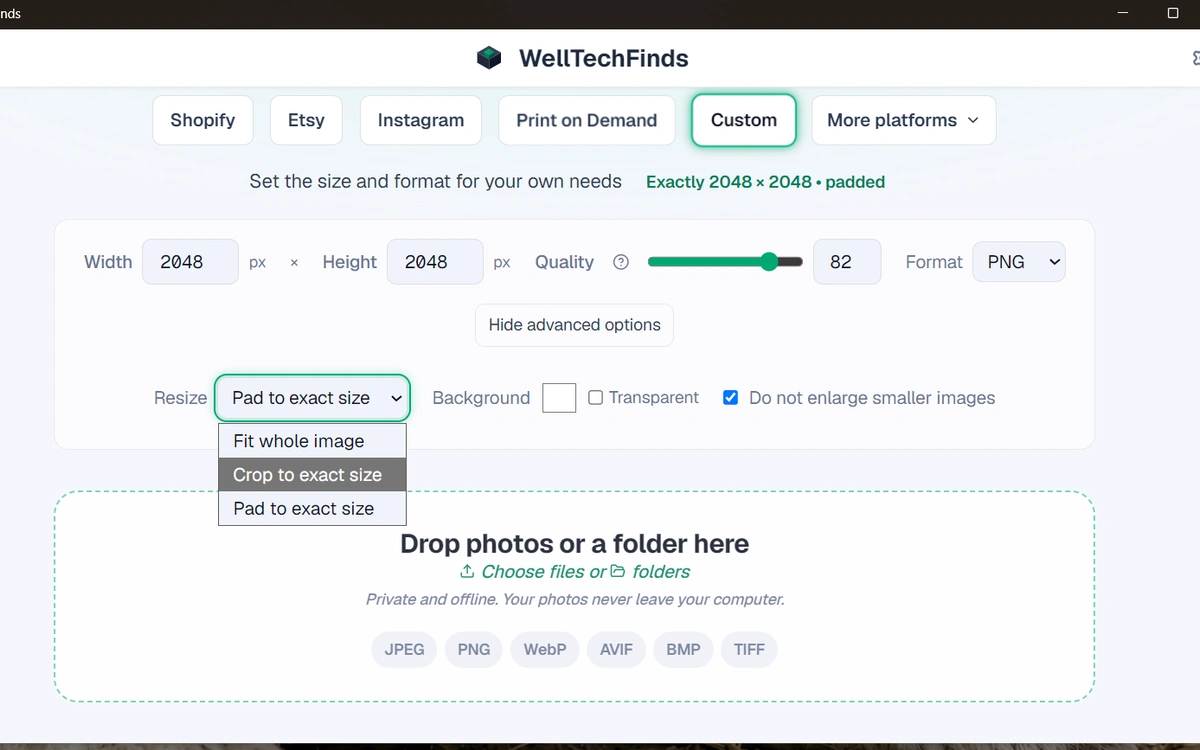 WellTechFinds Custom preset panel showing resize mode, background colour and transparency options