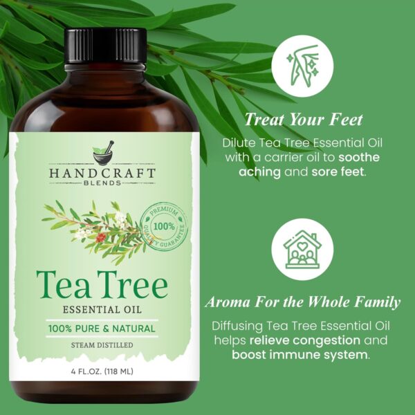 Handcraft Blends Tea Tree Oil | 100% Pure & Premium Grade - Image 4