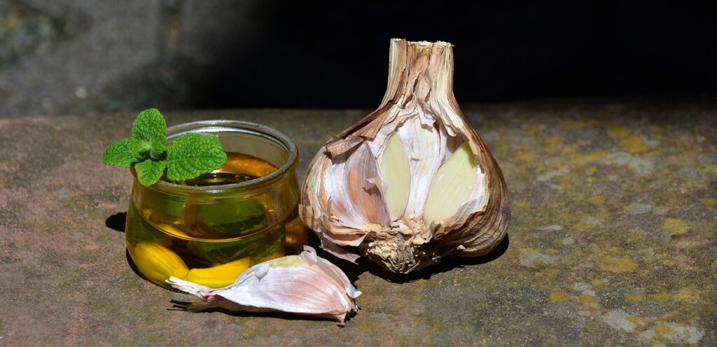 garlic, leek, oil, garlic oil, clove of garlic, vegetables, food, healthy, kitchen, meal, bio, ingredient, cook, nourishment, fresh, tasty, raw, garlic oil, garlic oil, garlic oil, garlic oil, garlic oil